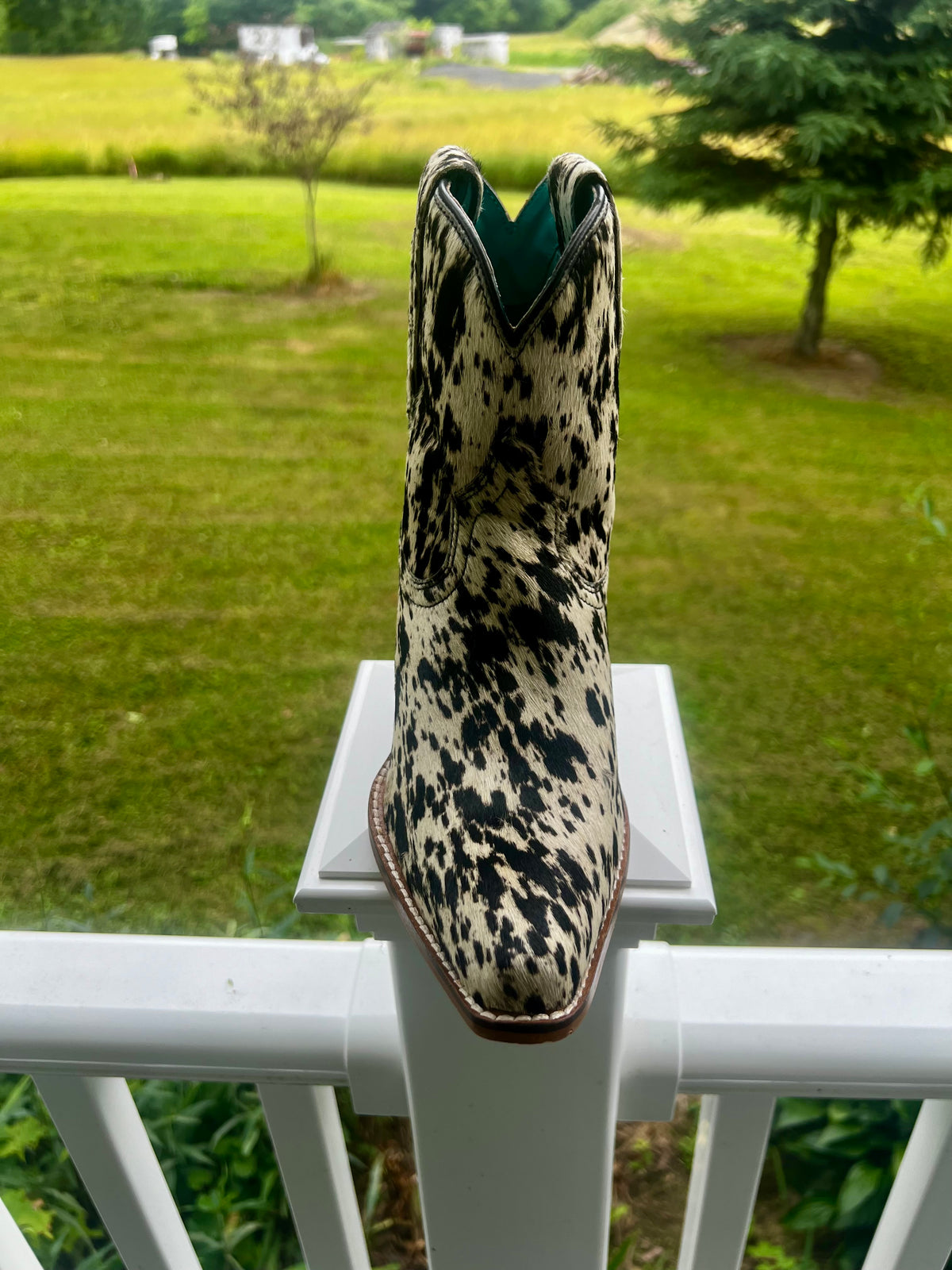 cow bow booties