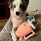 pup cup tumbler