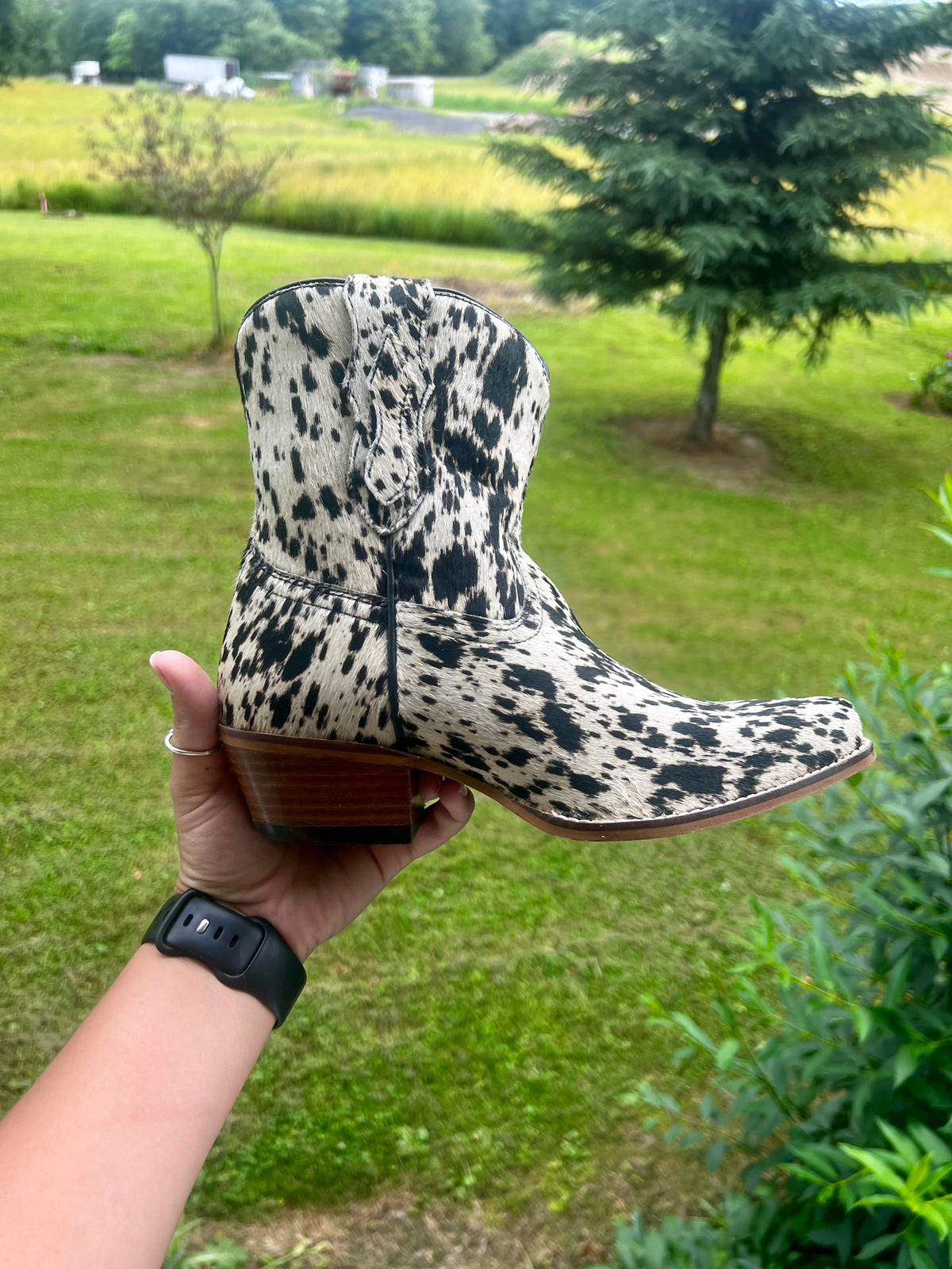 cow bow booties