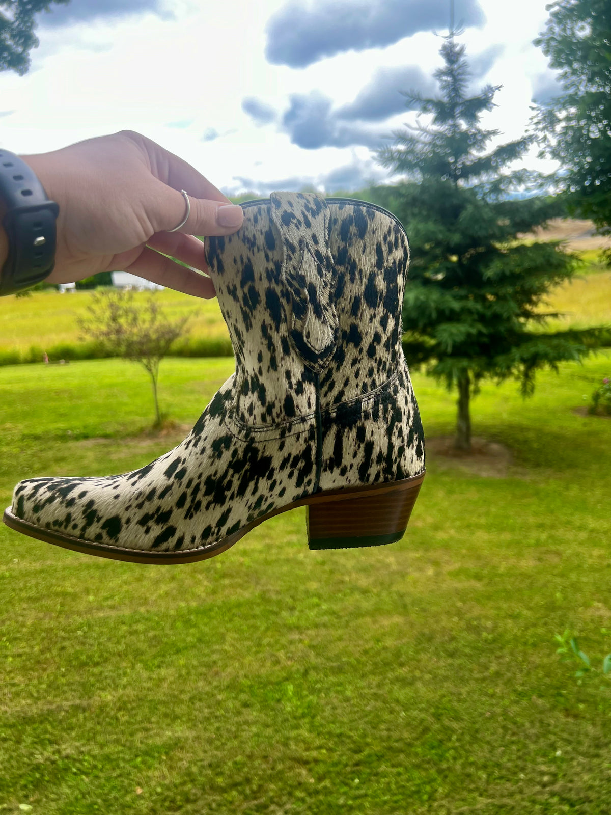 cow bow booties